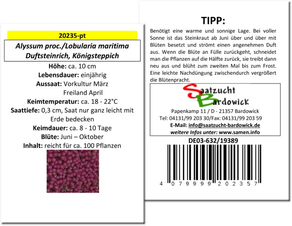 Duftsteinrich, Steinkraut Königsteppich