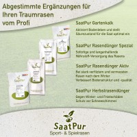 Vorschau: SaatPur® Rasensamen dürre Schattenrasen 2,5kg Trockenrasen Vorschau: SaatPur® Rasensamen dürre Schattenrasen 2,5kg Trockenrasen