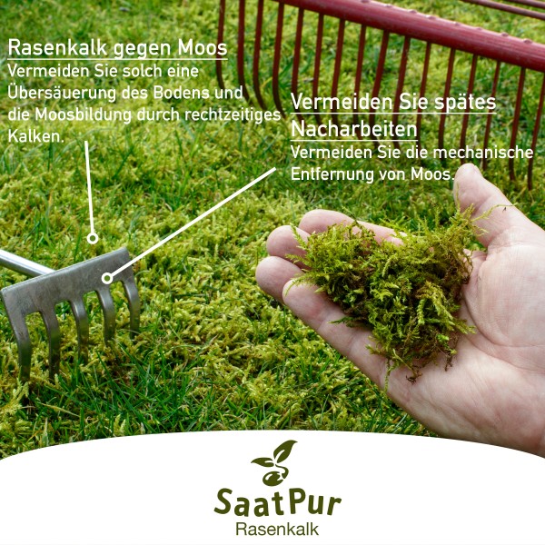 SaatPur® Rasenkalk 20 Kg für ca 400 qm Gartenkalk gegen Moos