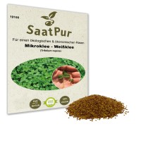 Mikroklee Saatgut Euromic 500 g Rasenklee Naturrasen Klee Rasen Zwergklee Mikroklee Saatgut Euromic 500 g Rasenklee Naturrasen Klee Rasen Zwergklee