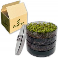 SaatPur Sprossenbox Set 3 - Keimgarten Keimbox Keimsaat Keimgerät Sprossen ziehen SaatPur Sprossenbox Set 3 - Keimgarten Keimbox Keimsaat Keimgerät Sprossen ziehen