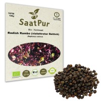 BIO Keimsprossen Radies Rambo Mikrogrün Microgreen Keimsaat BIO Keimsprossen Radies Rambo Mikrogrün Microgreen Keimsaat