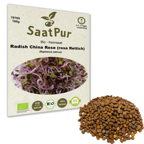 BIO-Keimsprossen Radies China Rose (Raphanus sativus) Microgreen Mikrogrün Keimsaat