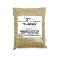 Blumenwiese (ohne Gras, mit Saathelfer) – für feuchte Standorte Blumenwiese (ohne Gras, mit Saathelfer) – für feuchte Standorte