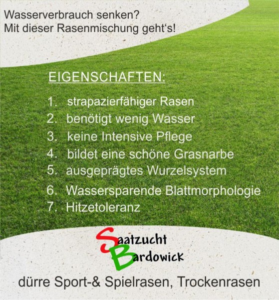 Dürreresistente Rasenmischung Sport + Spielrasen  strapazierfähig - grün trockener Standort Trocke