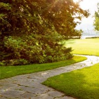 Vorschau: SaatPur® Rasensamen dürre Schattenrasen 2,5kg Trockenrasen Vorschau: SaatPur® Rasensamen dürre Schattenrasen 2,5kg Trockenrasen