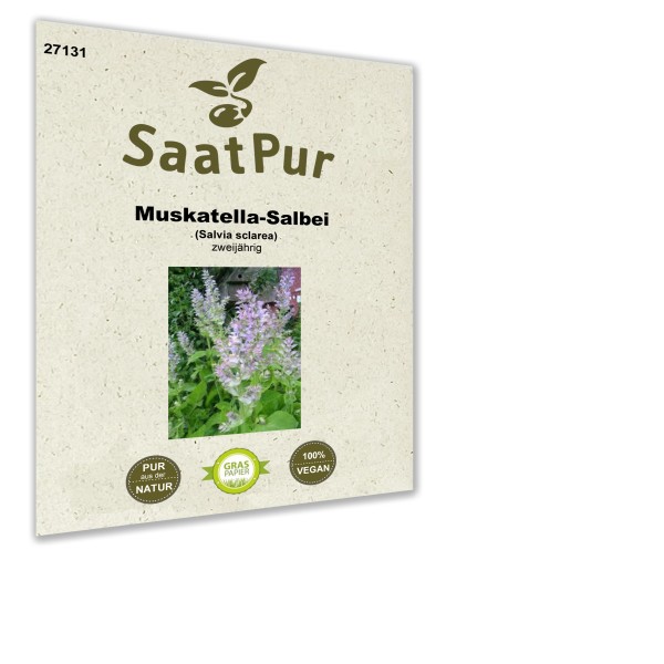 Muskatella-Salbei