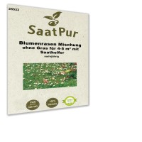 Blumenrasen (Mischung ohne Gras, mit Saathelfer) Blumenrasen (Mischung ohne Gras, mit Saathelfer)