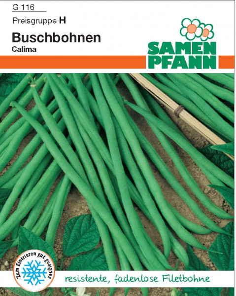 Buschbohne Calima