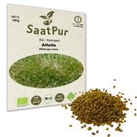 BIO Keimsaat für Sprossen Alfalfa Samen Keimsprossen Microgreens Vegan Öko BIO Keimsaat für Sprossen Alfalfa Samen Keimsprossen Microgreens Vegan Öko