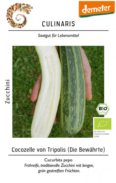 Zucchini Cocozeller von Tripolis grün Inhalt: 10 Korn - Bio-Gemüsesamen - Bio Zucchini