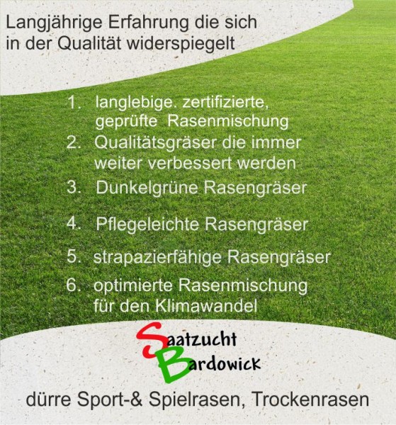 Dürreresistente Rasenmischung Sport + Spielrasen  strapazierfähig - grün trockener Standort Trocke