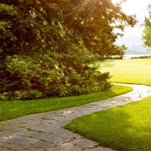 SaatPur® Rasensamen dürre Schattenrasen 2,5kg Trockenrasen