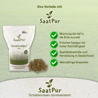 Vorschau: SaatPur® Rasensamen dürre Schattenrasen 2,5kg Trockenrasen Vorschau: SaatPur® Rasensamen dürre Schattenrasen 2,5kg Trockenrasen