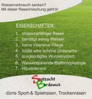 Vorschau: Dürreresistente Rasenmischung Sport + Spielrasen  strapazierfähig - grün trockener Standort Trocke Vorschau: Dürreresistente Rasenmischung Sport + Spielrasen  strapazierfähig - grün trockener Standort Trocke