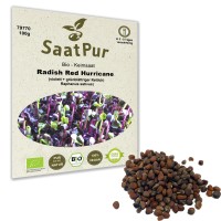 BIO-Keimsprossen Radies Red Hurricane-Sprossen Microgreen Mikrogrün Keimsaat BIO-Keimsprossen Radies Red Hurricane-Sprossen Microgreen Mikrogrün Keimsaat
