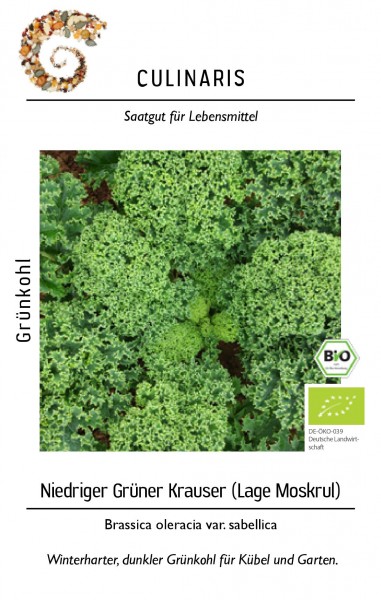 Grünkohl niedriger Grüner Krauser Winterhart für ca. 50 Pfl - Bio-Gemüsesamen - Bio Grühnkohl