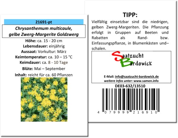 Gelbe Zwerg-Margerite Goldzwerg