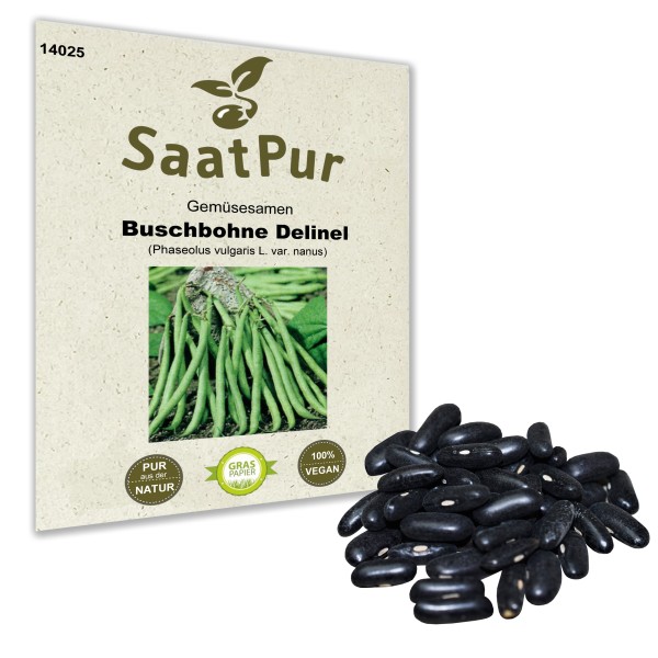 Buschbohne Delinel - Großpackung 50 g